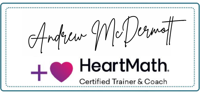 andrew mcdermott andrew mcdermott